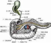 关于|SE??,醫饡乒?旨!誦|P2皵儘镠j衘?!C屈寰?颏?屛Y窎彟9?酁/猙?県轾H	的信息